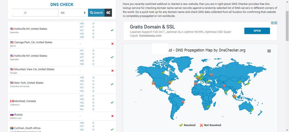 dnschecker NS.jpg